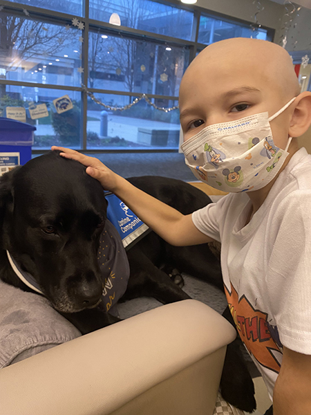 Boy in hospital bed with black lab service dog